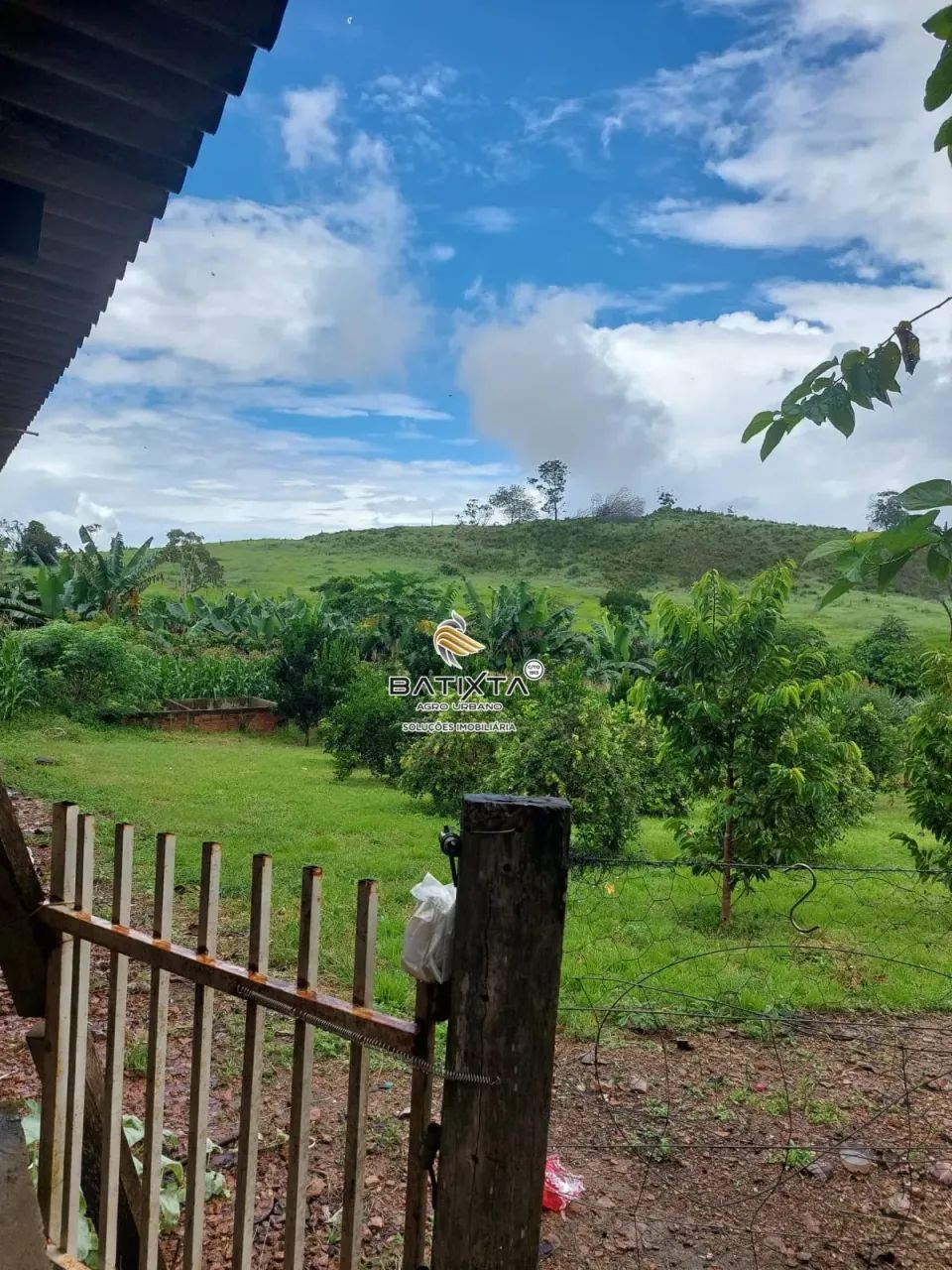 Sítio 20 Alqueires, 30 km de Palmas - Foto 4