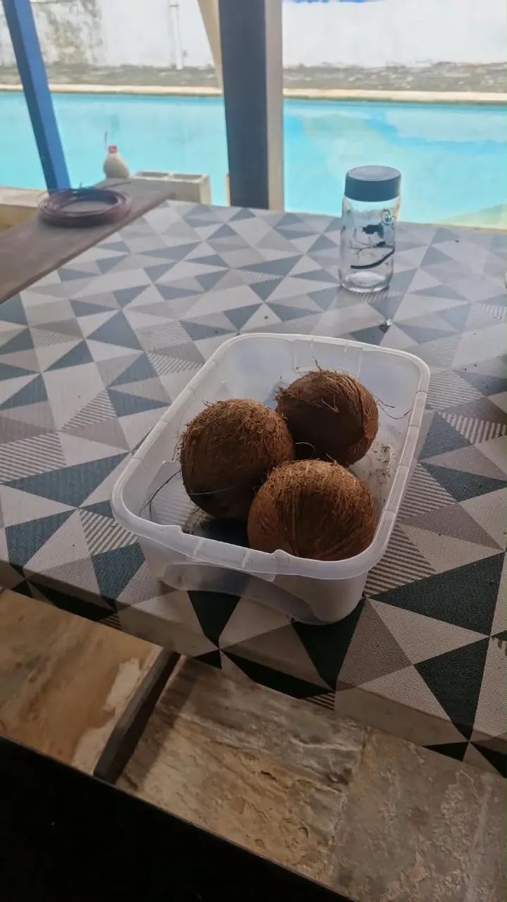 Coco seco  - Foto 2