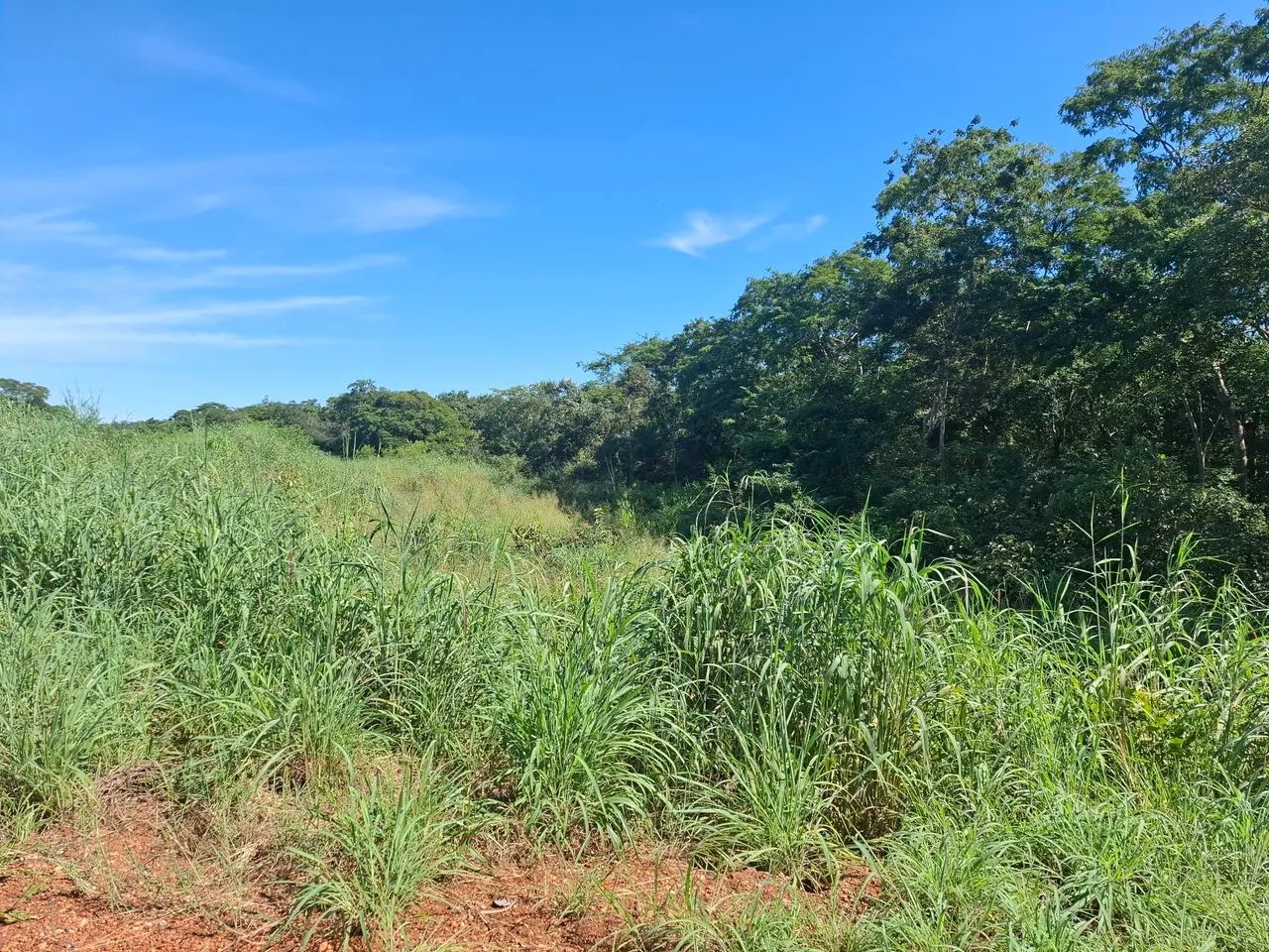 Vendo area de 3.5 hectares, com preço IMPERDÍVEL, no Aguaçu - Foto 3