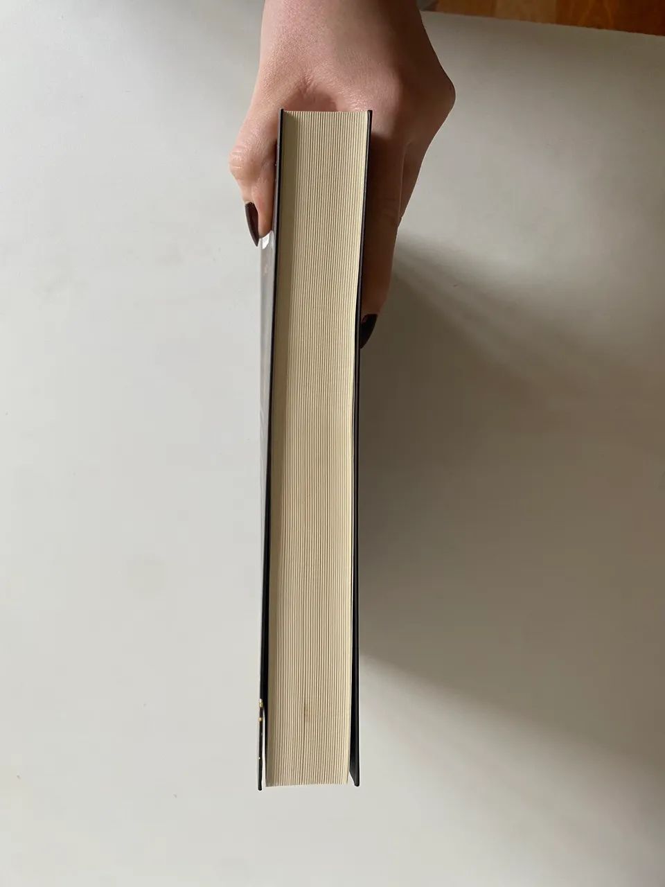 Pássaro e serpente- Shelby Livro - Foto 4