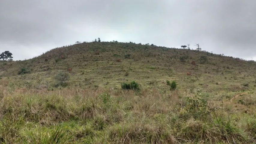 Vende se sítio  - Foto 2