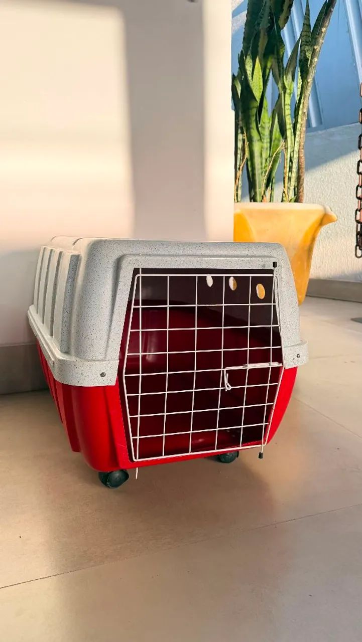 Caixa para Pet / portão de brinde
