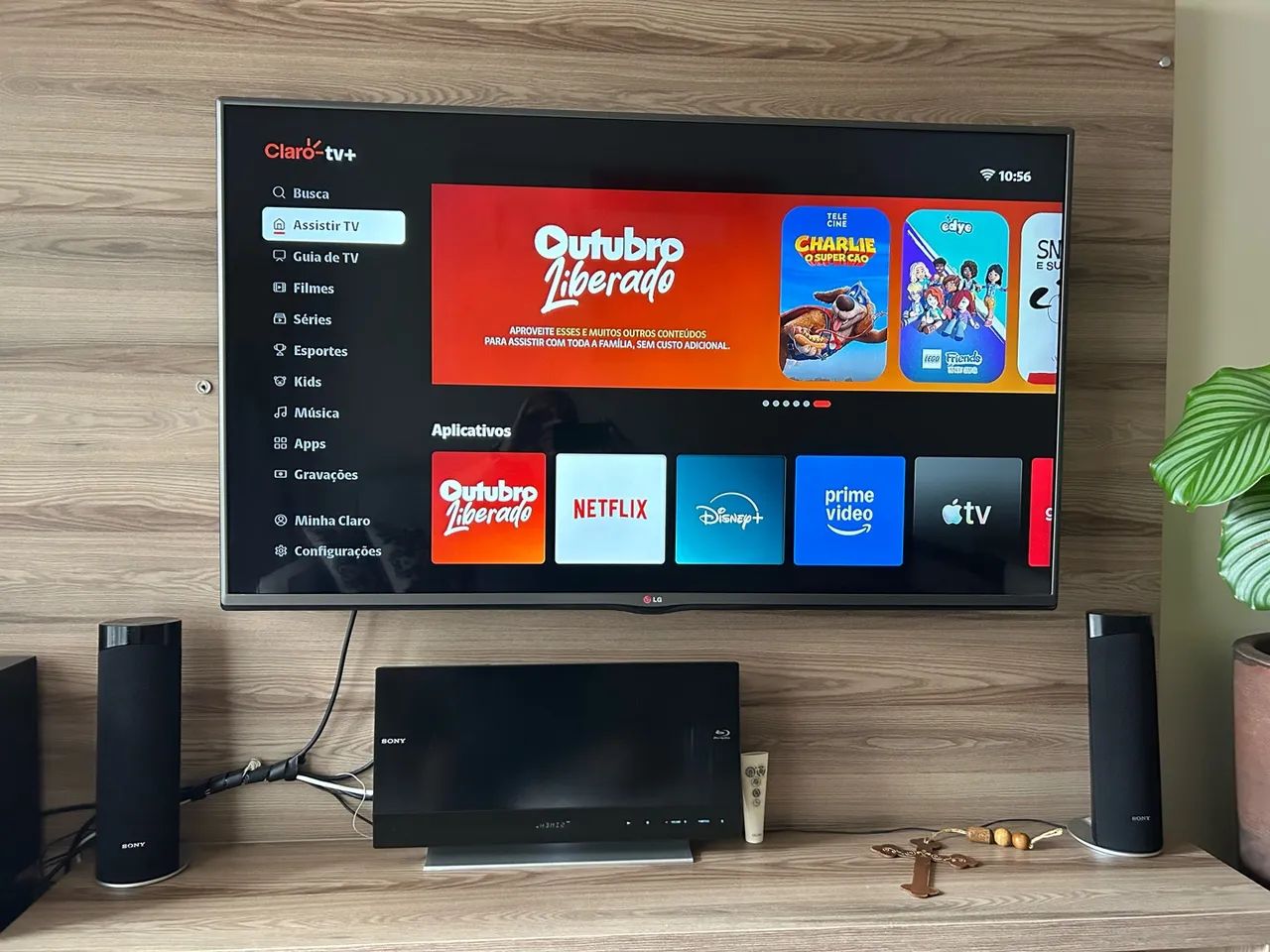 TV LG 48?
