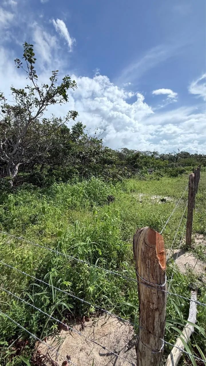 Terreno a Venda na Praia do Preá - Foto 4