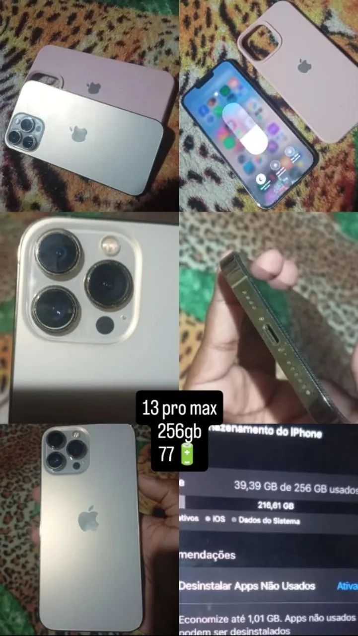 13 pro max