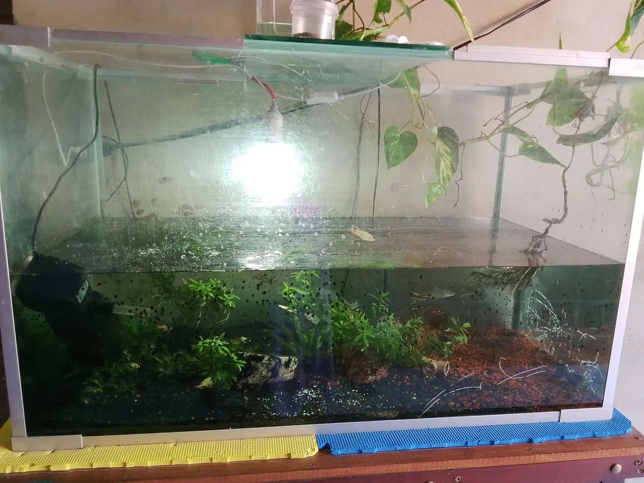 Aquário 300 litros - Foto 4