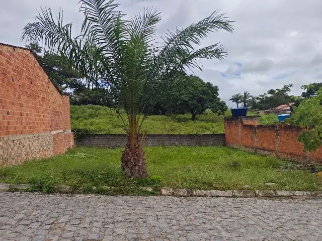 Terrenos 6x20m em boca da mata - Foto 2