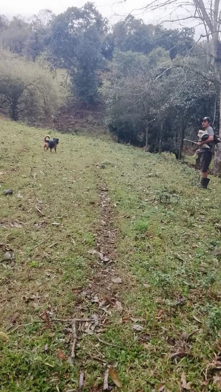 Terra a venda