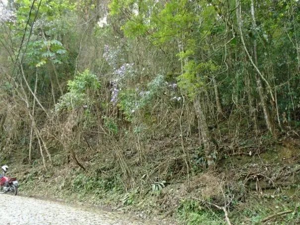 Terreno- Petrópolis, Quitandinha - Foto 5