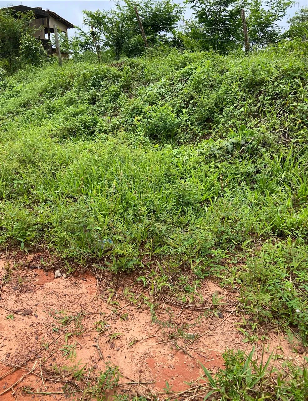 Terreno  - Foto 4