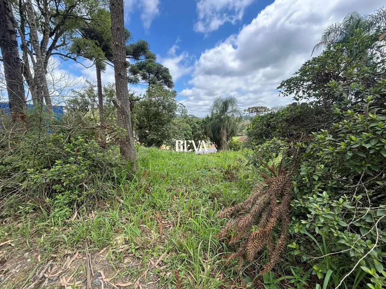 Terreno com 652,04 m² - Foto 5