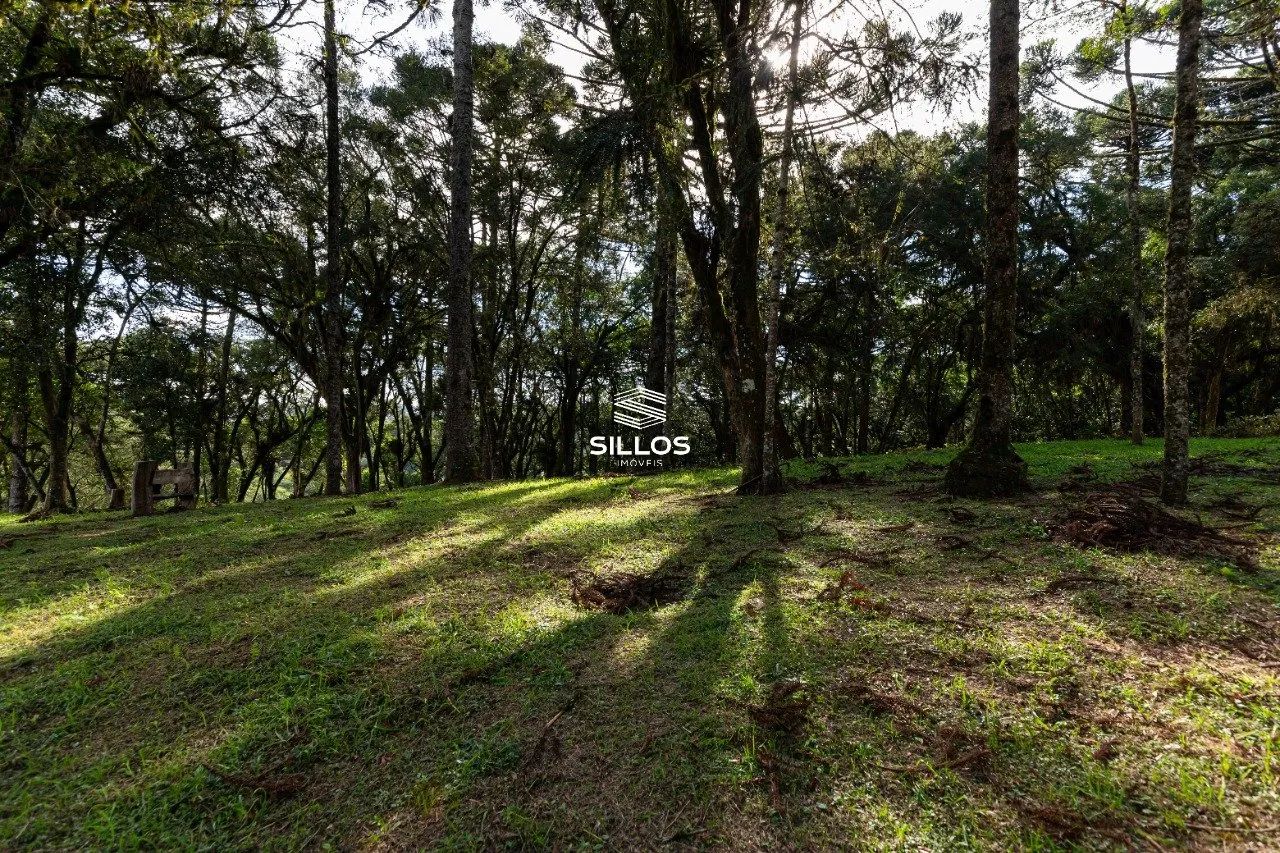 Chácara à venda com 80.000m² em Butiatuvinha em Curitiba - Foto 8