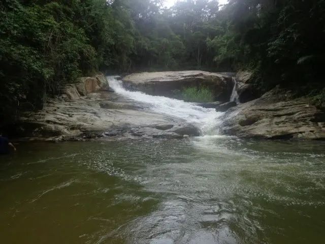 Vende-se sítio com 16 alqueires Cajati-SP - Foto 2