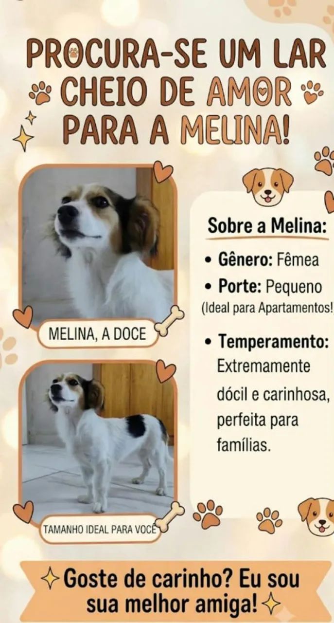 Doação 