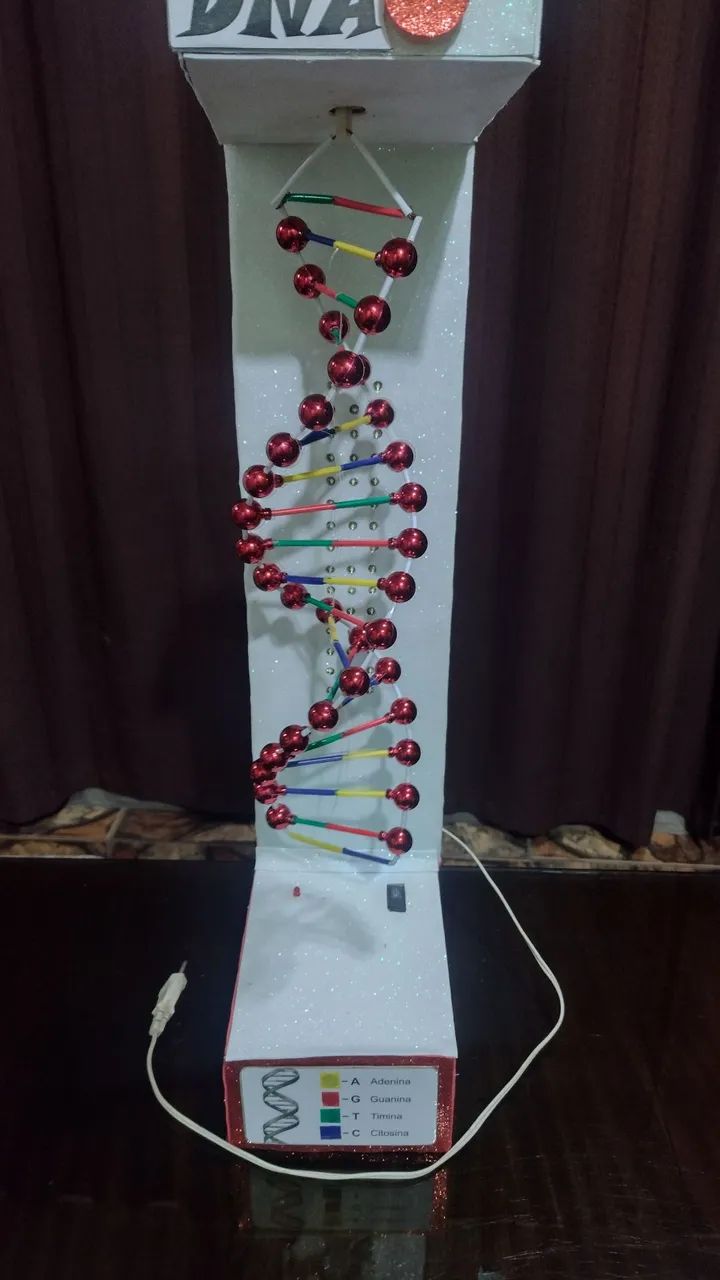 Maquete de DNA  - Foto 2