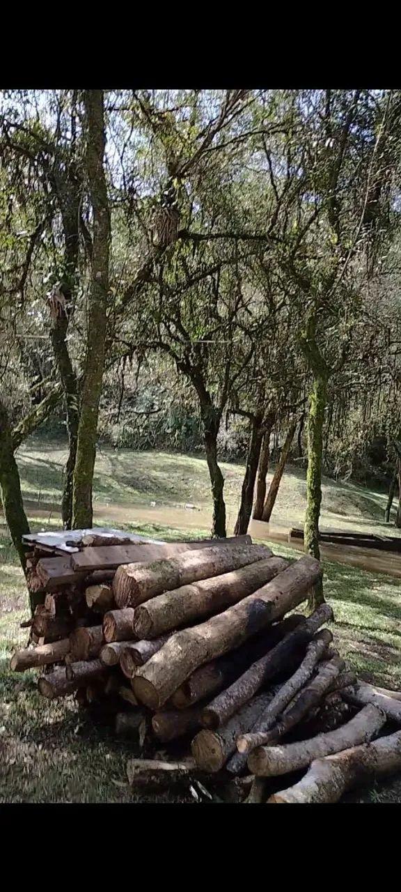 Vendo chácara  - Foto 2