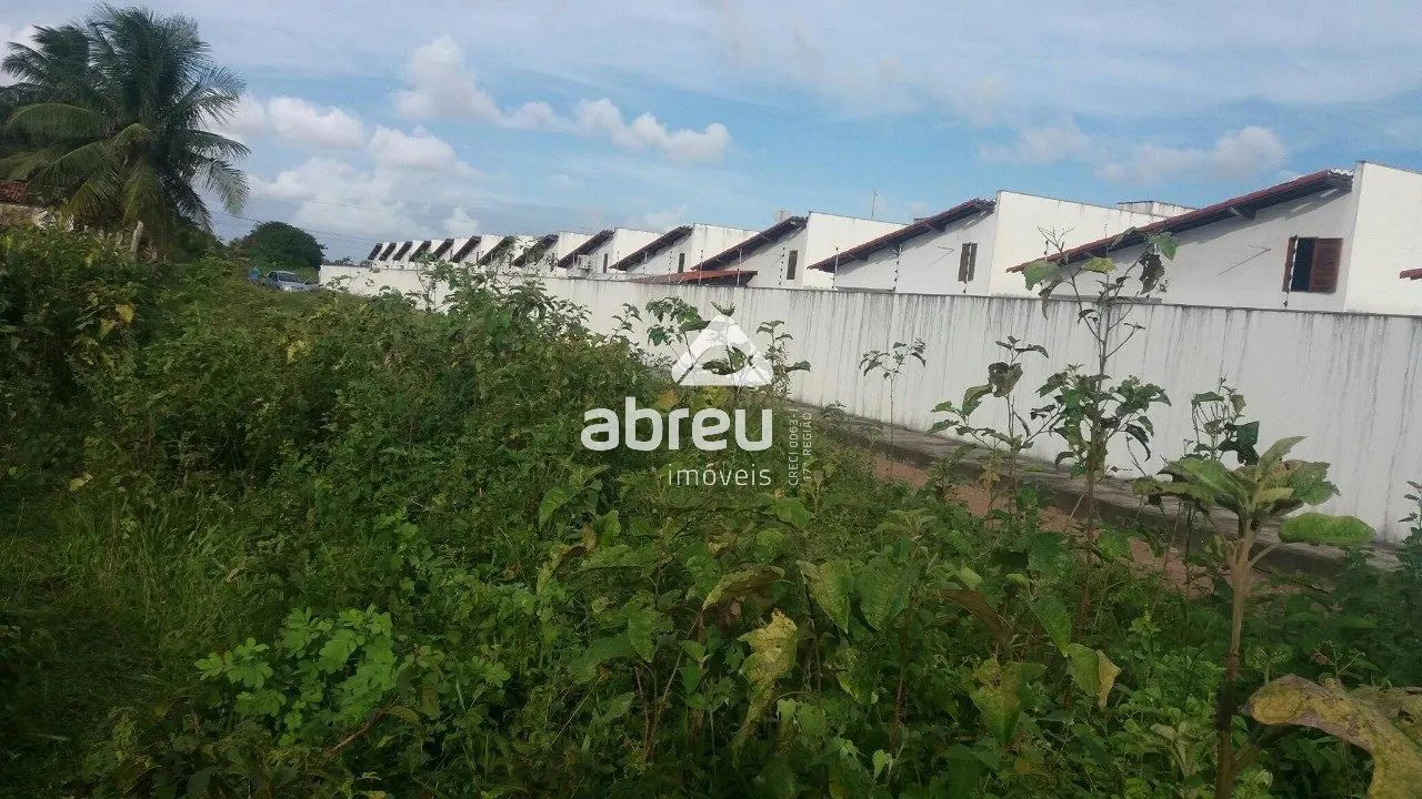 Área em São Gonçalo do Amarante.