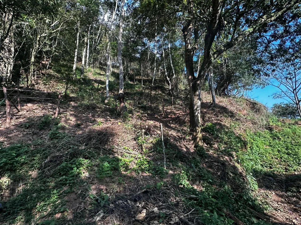 Terreno a venda - Sítio Guritiba, Mulungu-CE - Foto 2