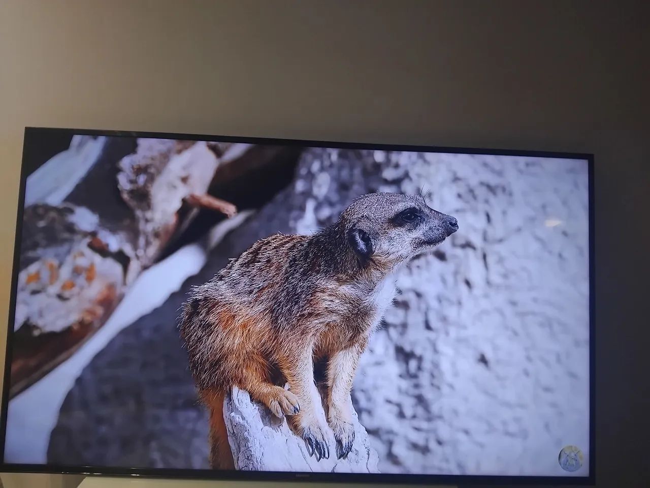 Vendo TV  samsung 65 Polegada smart - Foto 5