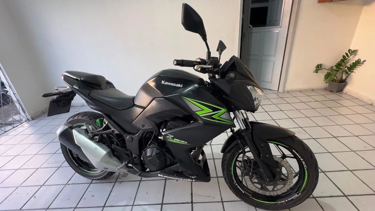 Z300 2019  - Foto 4