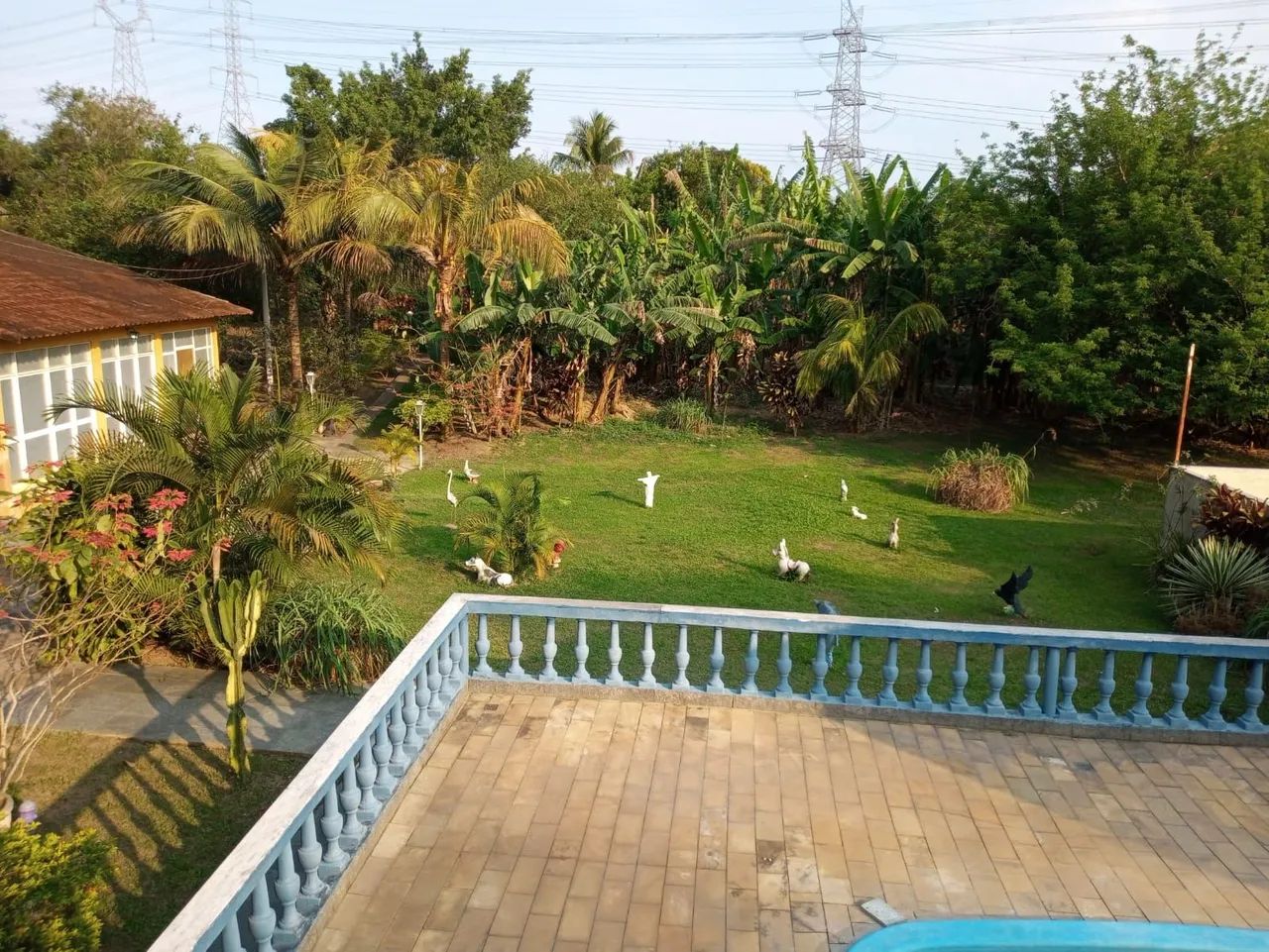 Vendo -Sitio - Foto 5