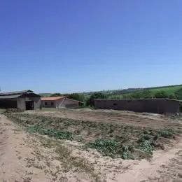 Foto - Cajuru - 