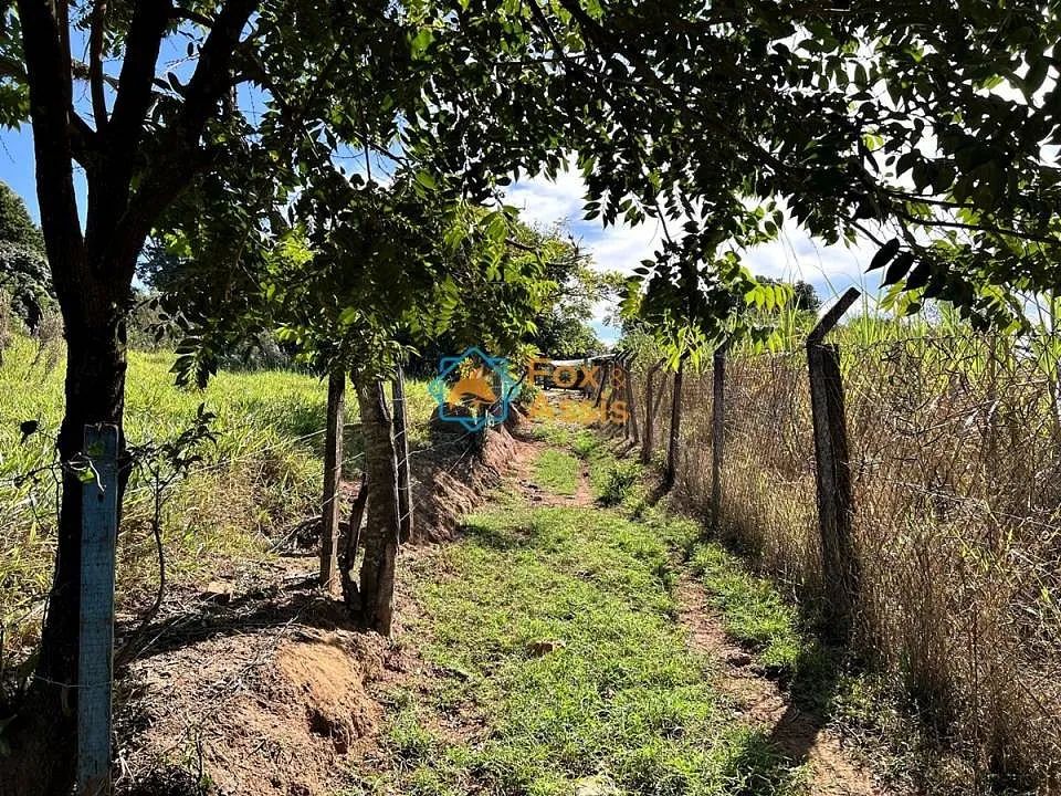 Sítio á venda bairro Jaguari Limeira. - Foto 3