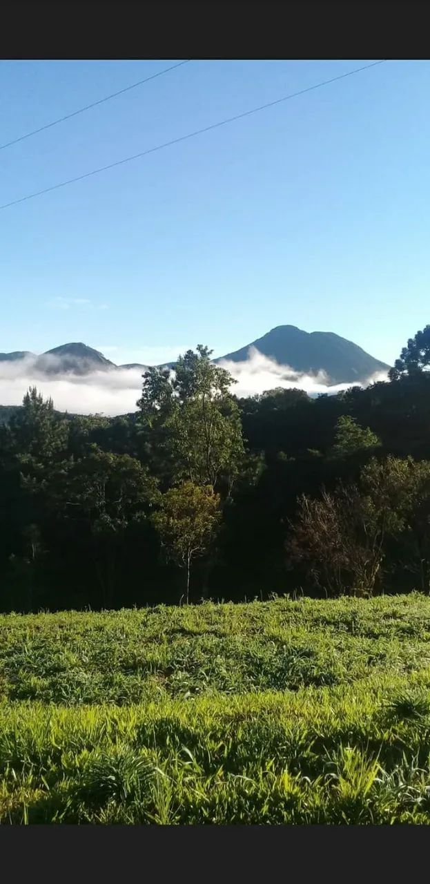 Foto - Campina Grande do Sul - 