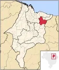 FAZENDA: Fazenda de 310 hectares a venda na beira do rio em Chapadinha-MA - Foto 3