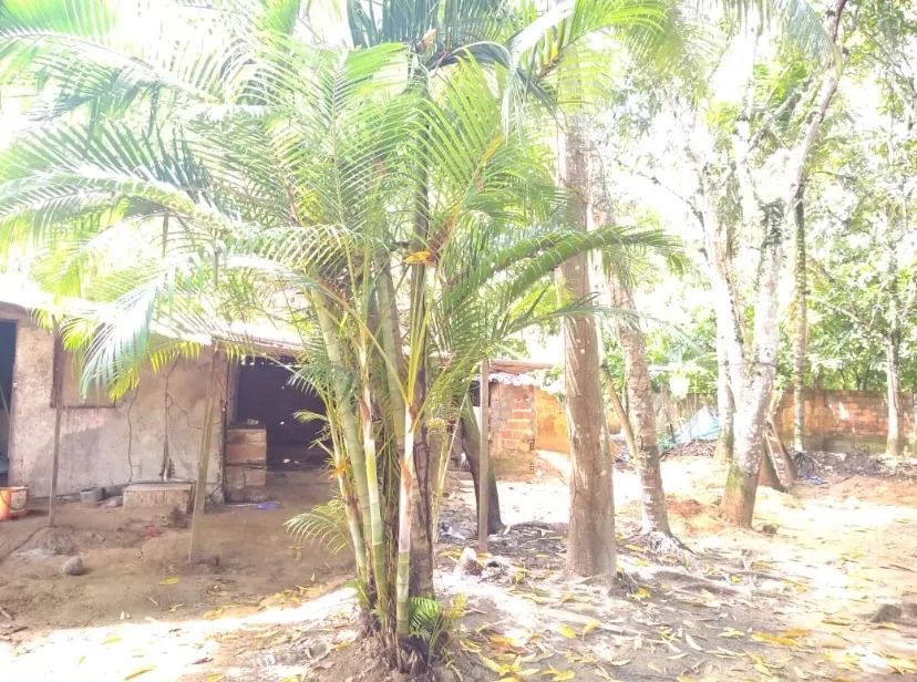 Foto - Itaparica - 