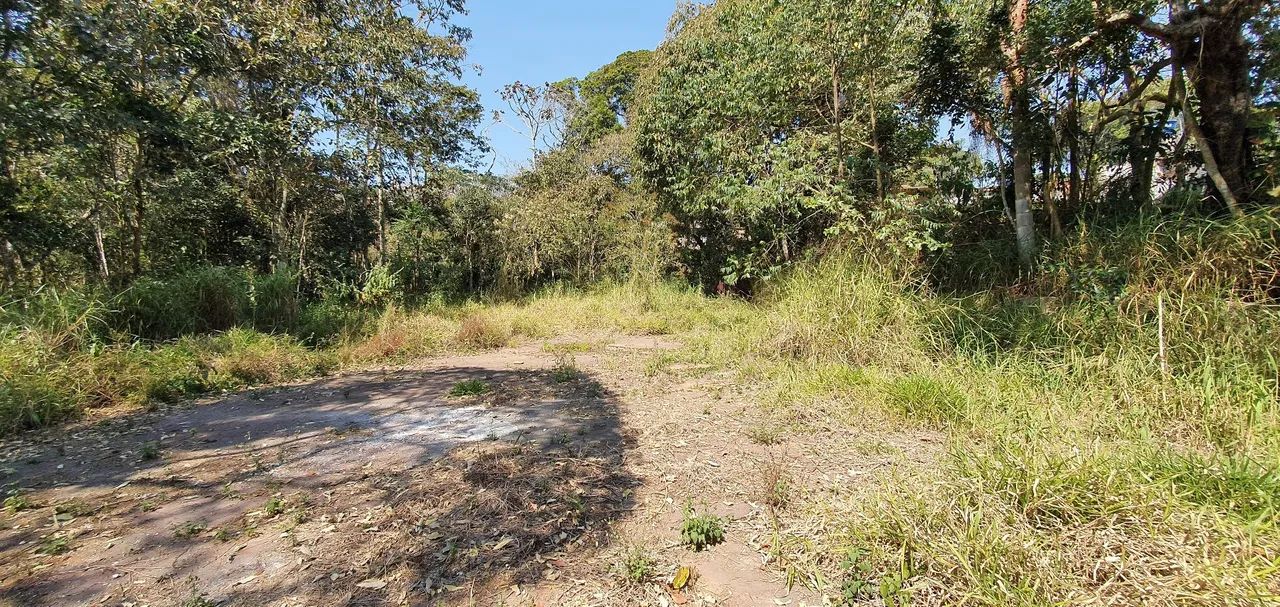 Terreno 250m² - Foto 4