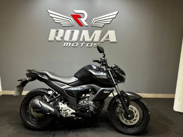 FZ15