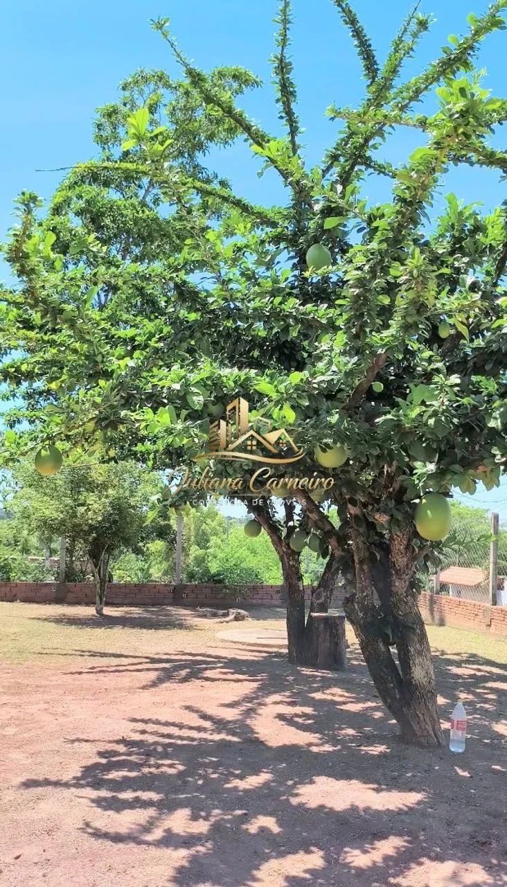 Foto - Piracicaba - Centro