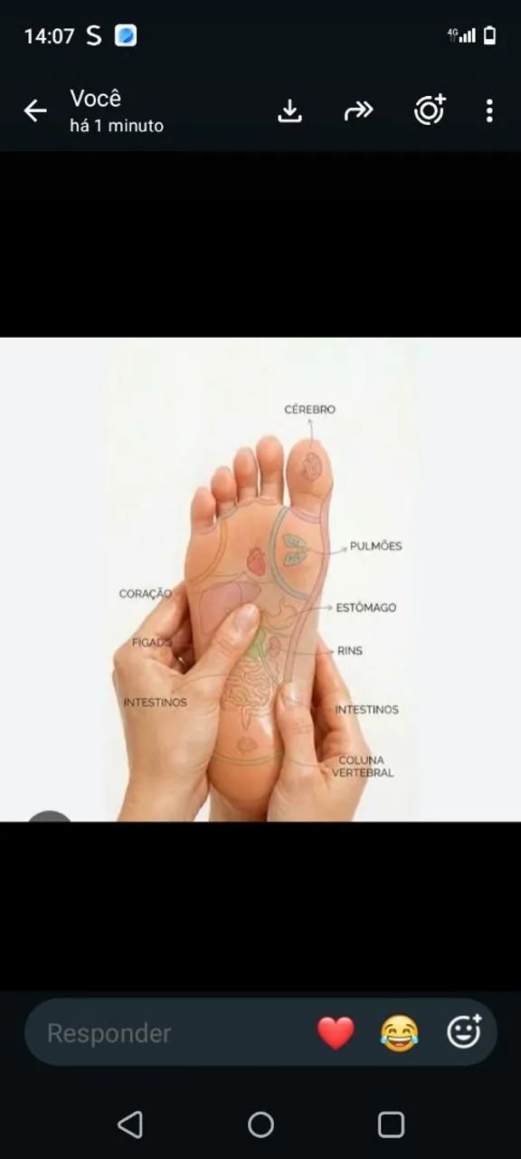 Podologia, reflexologia. 