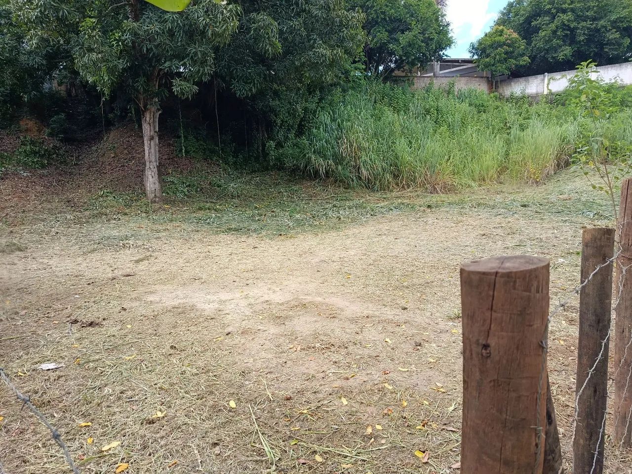 Área 1.200 m², bairro Iolanda - Foto 5
