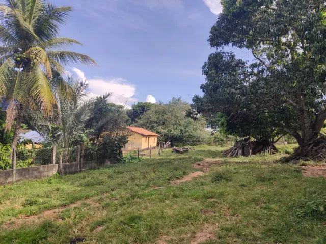 FAZENDA EM ITAPURANGA  - Foto 4