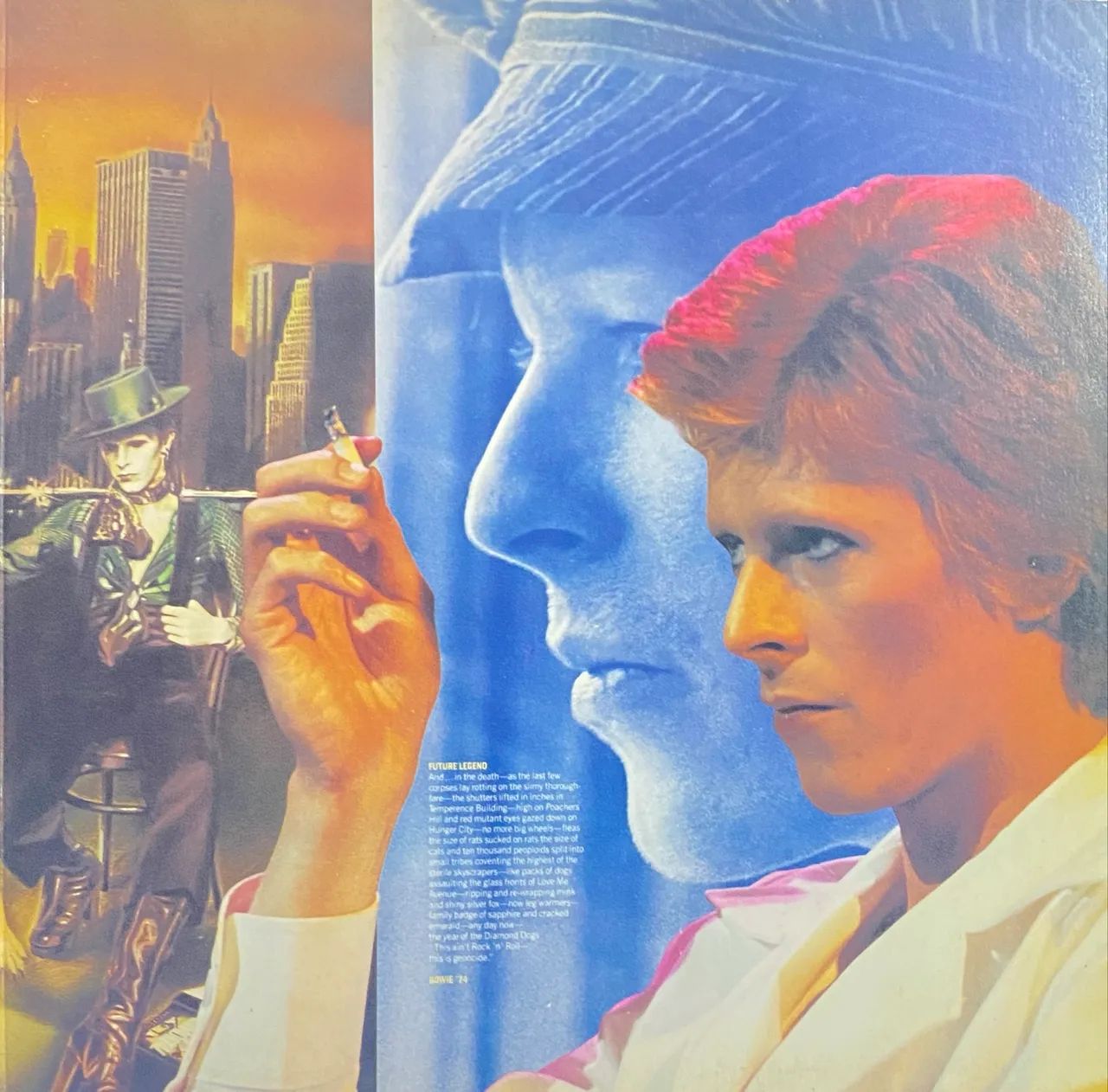 Colecionável David Bowie - Diamond Dogs | LP Vinil Nacional 1990