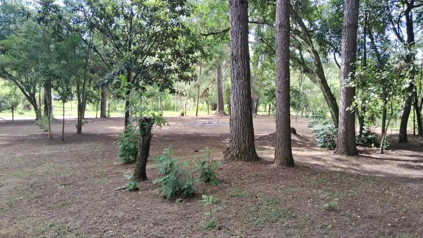 Chácara em Uvaia - Foto 2