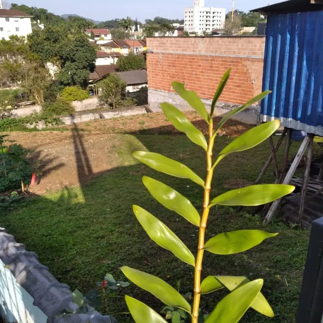 Terreno - Foto 3
