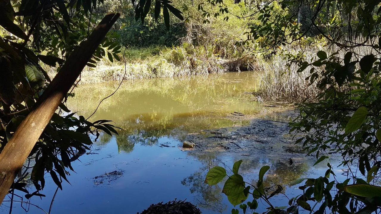 Terreno para formar Chácara  - Foto 2