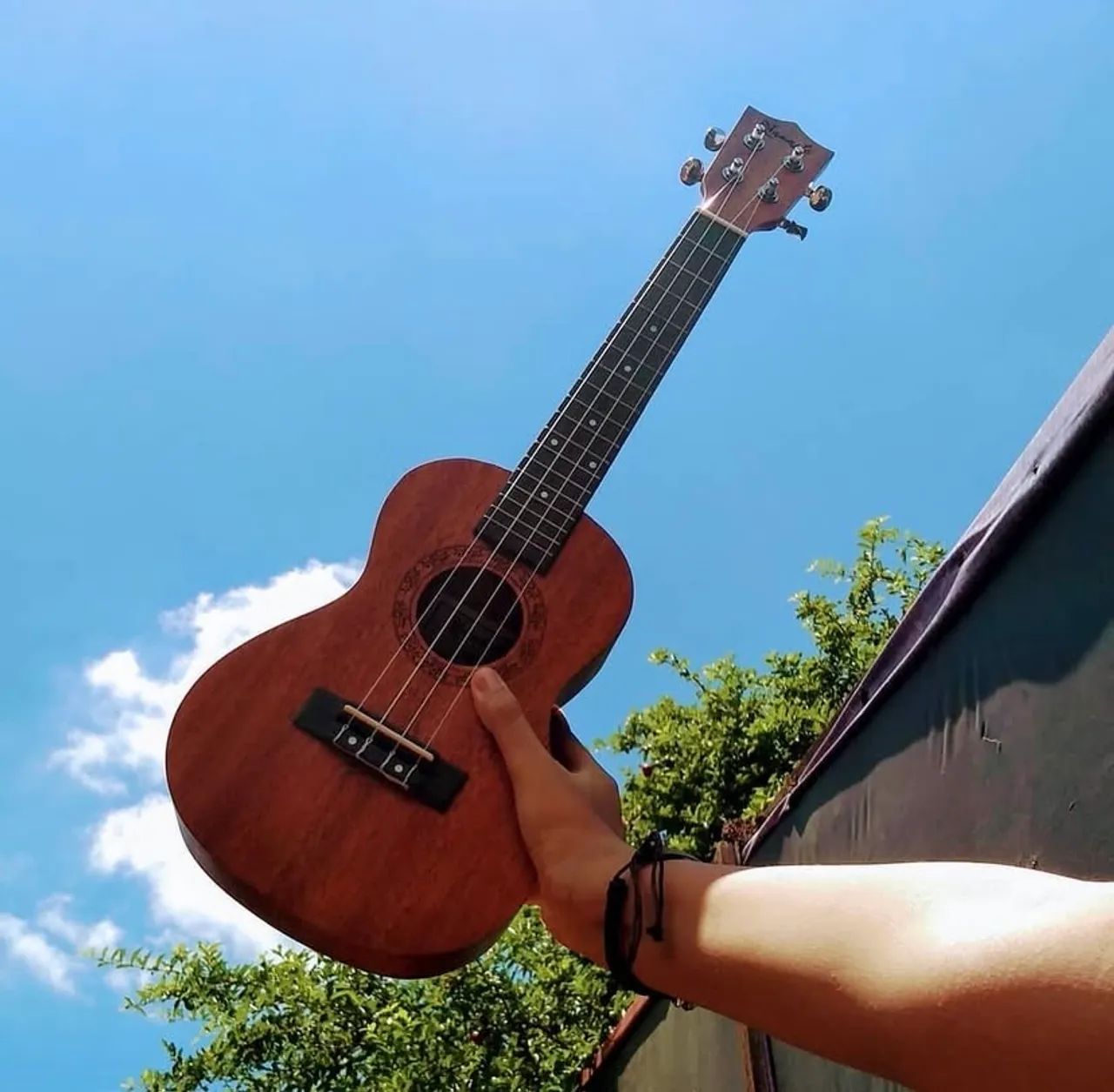 Ukulele 