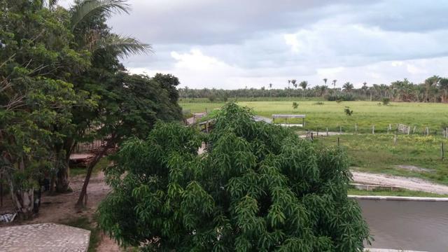 Fazenda montada em Itapecuru-Ma, 200 hectares,margeada pelo Rio Itapecuru! - Foto 6
