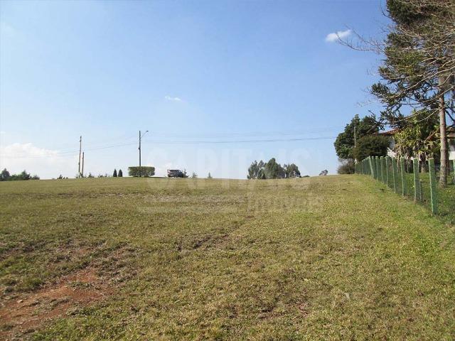 Terreno com 1250m² Campo Largo da Roseira, São José dos Pinhais - Foto 9