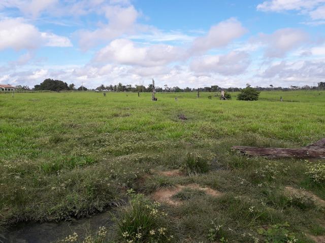 Imperdível fazenda em Roraima Caroebe