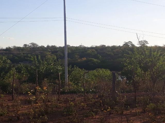 Ótima propriedade de 500 hectares, toda documentada,em Sertânia-PE, por apenas R$ 500 mil - Foto 2