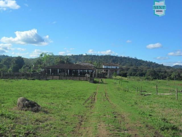Fazenda em Ubaitaba de 430 Hectares, para gado e cacau. Próximo a Gongogi - Foto 3