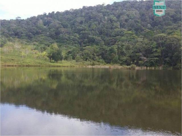 Aiquara . Ótima fazenda produtora de cacau - Foto 15
