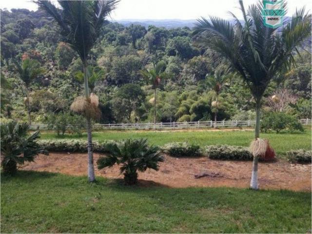 Aiquara . Ótima fazenda produtora de cacau - Foto 7