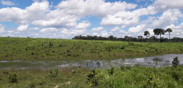 Fazenda em Roraima top - Foto 5
