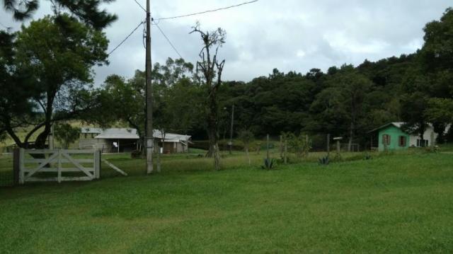 Fazenda para venda em balsa nova, são luiz do puruna 800 m do pedagio, 2 dormitórios, 2 ba - Foto 2